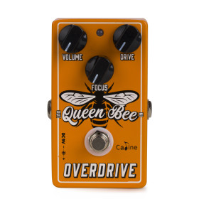 PEDALE D'EFFETS - QUEEN BEE OVERDRIVE - CP503 - CALINE®
