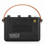MINI AMP WOODSMAN POUR ACOUSTIQUE - 20W - AUTONOME 4H - BLUETOOTH - CA200A - CALINE®