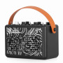 MINI AMP WOODSMAN POUR ACOUSTIQUE - 20W - AUTONOME 4H - BLUETOOTH - CA200A - CALINE®