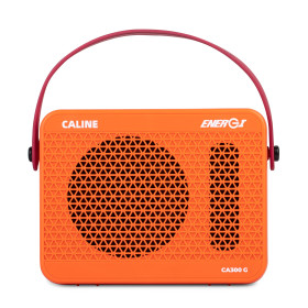 MINI AMP POUR ÉLECTRIQUE À SIMULATION DE LAMPE - 15W - BLUETOOTH - CA300G - CALINE®