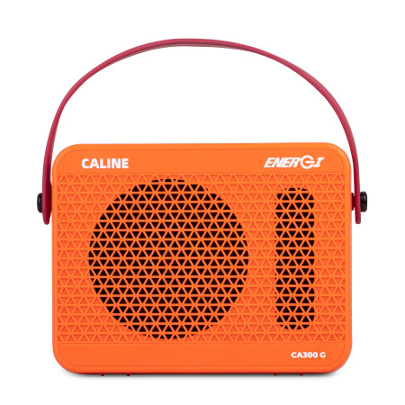 MINI AMP POUR ÉLECTRIQUE À SIMULATION DE LAMPE - 15W - BLUETOOTH - CA300G - CALINE®