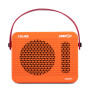 MINI AMP POUR ÉLECTRIQUE À SIMULATION DE LAMPE - 15W - BLUETOOTH - CA300G - CALINE®