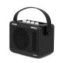 MINI AMP POUR BASSE - 15W - BLUETOOTH - CA300B - CALINE®