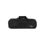 PEDALBOARD ALIMENTÉ 10 SORTIES + USB-C + SACOCHE DE TRANSPORT - 58CM - CB108B - CALINE®