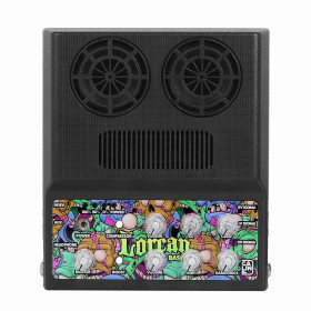 MINI AMP PORTABLE POUR BASSSE  - BLUETOOTH - 2x10W - LORCAN - CA100B - CALINE®