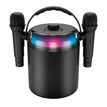 ENCEINTE BLUETOOTH PORTABLE 120W - KARAOKÉ 2 MICROS SANS FIL - EFFETS LUMINEUX - NOIR - LEDWOOD