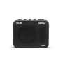 MINI AMP POUR BASSE - 15W - BLUETOOTH - CA300B - CALINE®