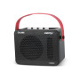 MINI AMP POUR BASSE - 15W - BLUETOOTH - CA300B - CALINE®