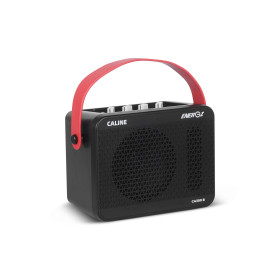 MINI AMP POUR BASSE - 15W - BLUETOOTH - CA300B - CALINE®