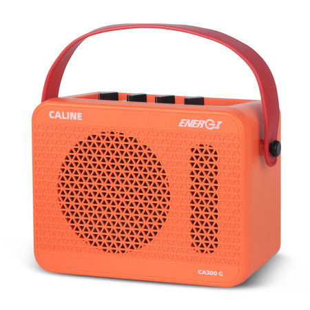 MINI AMP POUR ÉLECTRIQUE À SIMULATION DE LAMPE - 15W - BLUETOOTH - CA300G - CALINE®