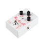PÉDALE D'EFFETS - RECORDER - FV05 - FLAMMA®