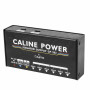 BLOC D'ALIMENTATION ISOLÉE ET SÉPARÉE 8 SORTIES - CP202 - CALINE®